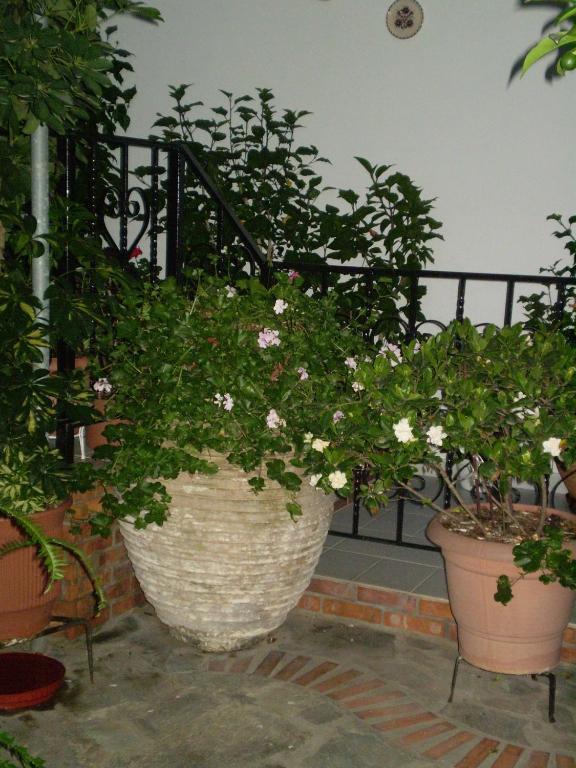 Studios Nopi-Zoi İskados Dış mekan fotoğraf